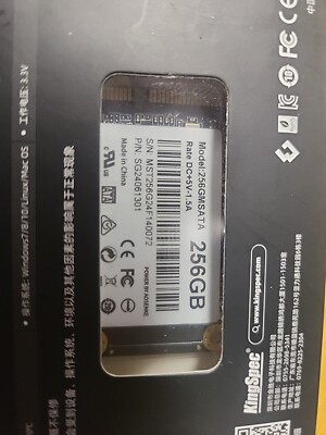 MSata 256GB 
