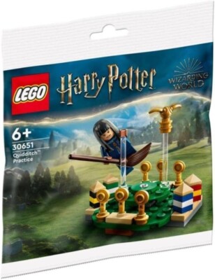 LEGO 30651 Harry Potter: Quidditch Practice - NSIB