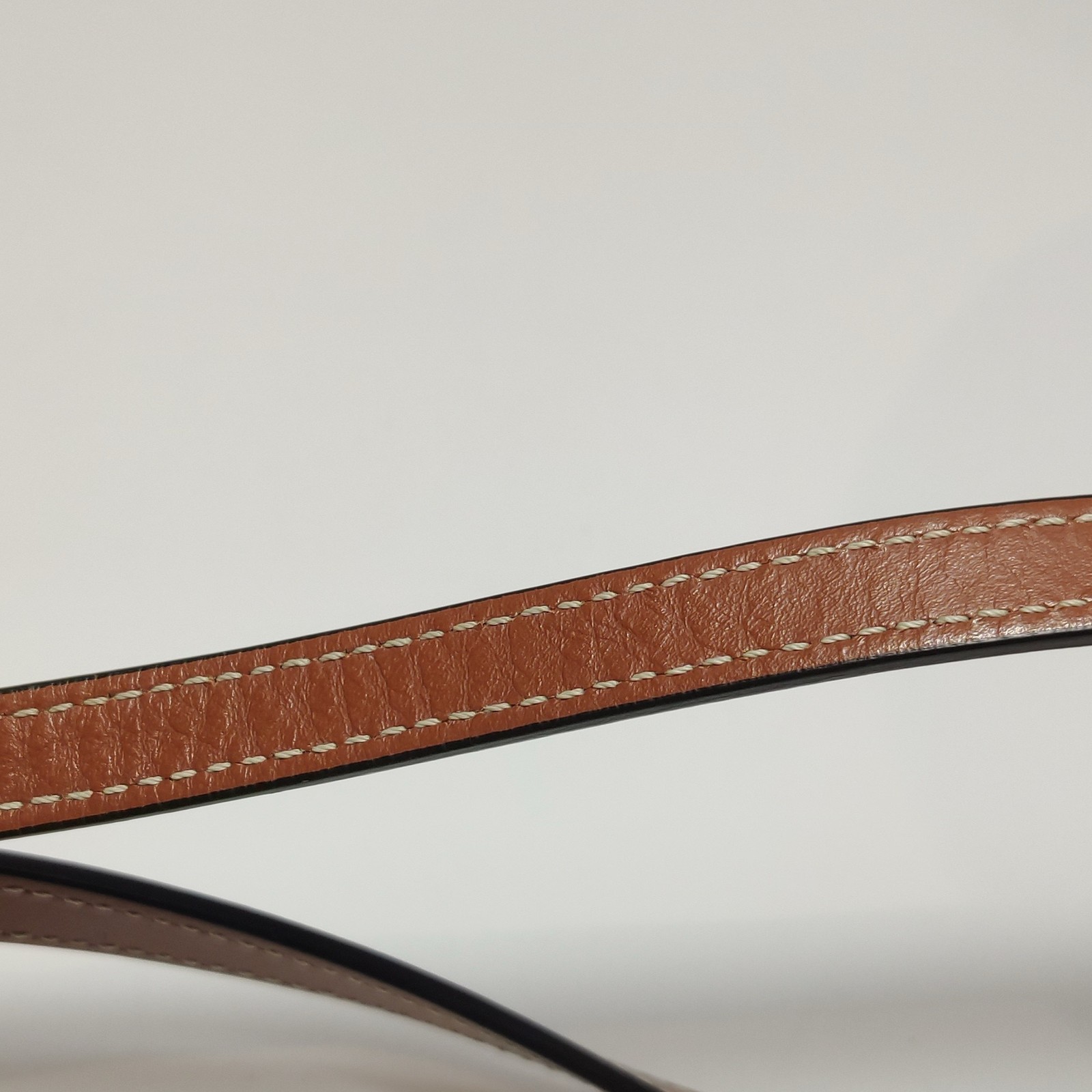 authentic Celine Triomphe Mini Vertical Hippopota… - image 12