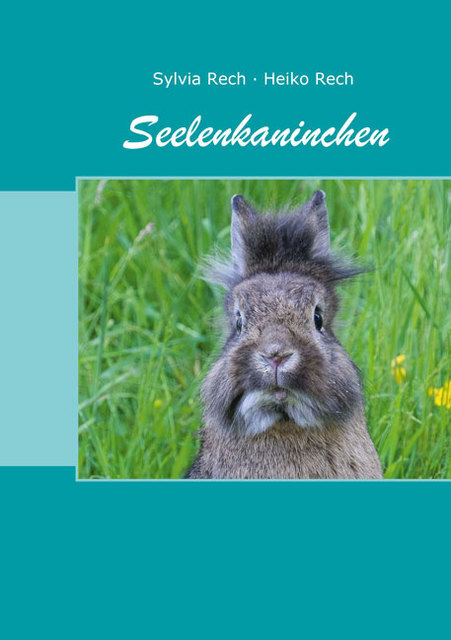 Seelenkaninchen Sylvia Rech