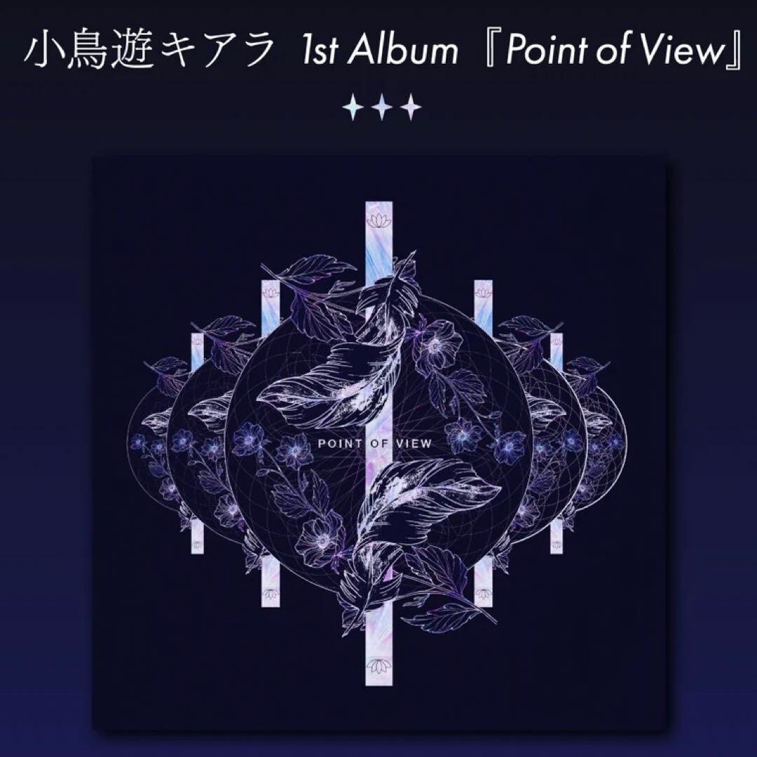 point of view 小鳥遊キアラ CD Hololive Takanashi Kiara CD 1st Alubum point of view NEW | eBay