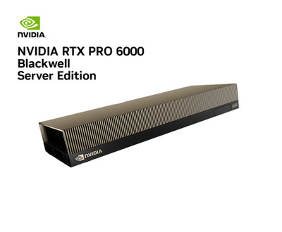 NVIDIA RTX PRO 6000 Blackwell Server Edition (900-2G153-0000-000) NEU/OVP