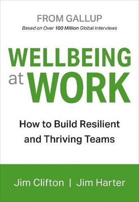 Wellbeing At Work Clifton Harter Hardback John Wiley & Sons 9781595622419