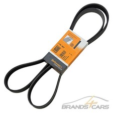 CONTITECH KEILRIEMEN KEILRIPPENRIEMEN FÜR LEXUS IS 2 BJ 05-