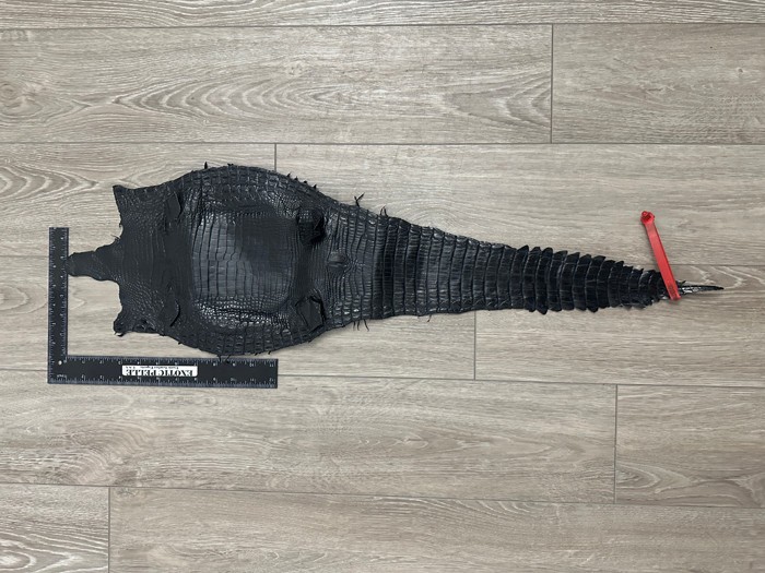 Black Genuine Belly Nile Crocodile Hide Leather Skin Gator Croc Scrap 3764