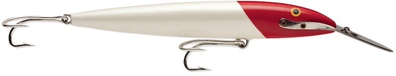 Rapala CountDown Magnum 22cm 100g Leurre de Traine Coulant pour Gros Poissons de Mer