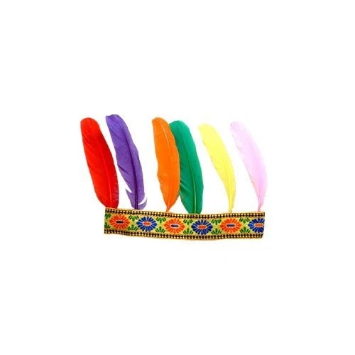 IndianerKopfband 6 Federn  Karnevalskopfschmuck für UnisexErwachsene  Mehrfarbig - Bild 1 von 1