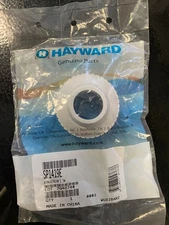 Genuine Hayward SP1419E Pool Spa Wall Return Jet Fitting 1" Eyeball Directional
