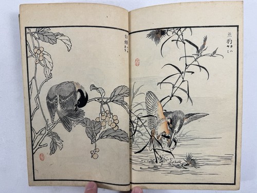 Japanese Woodblock Print Book “Bairei Hyakucho Gafu” Vol.① Kono Bairei Bird 1881 - Imagen 22 de 24
