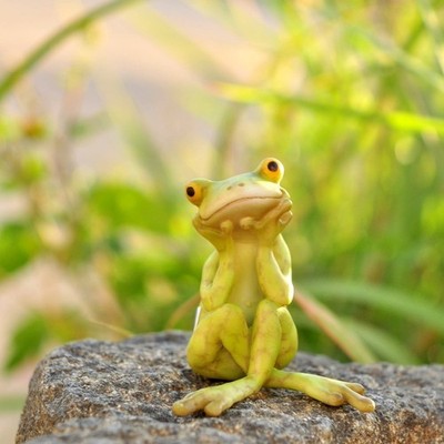 Miniature Fairy Garden and Terrarium Frog in Thought Statue