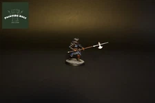 Pro Painted Miniature - Fighter, Paladin - Grimdark Polearm - DND, PATHFINDER