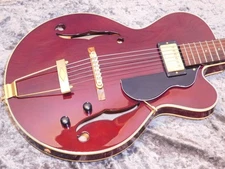 Rozeo Ladybug SM-TBC-HB