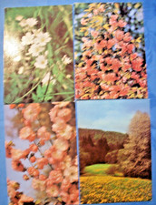 4 Karten "Frohe Pfingsten"