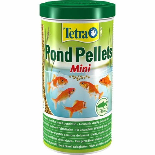 pond food