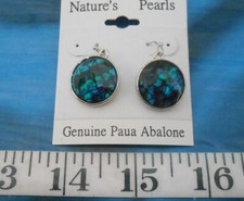  Iridescent Paua Seashell Earrings  Mermaid Skin  Blue  Nickel-Free Hooks 
