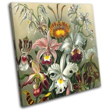 Botanical Garden Vintage Retro Floral SINGLE CANVAS WALL ART Picture Print