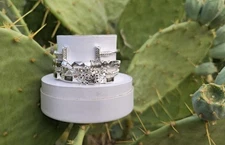 BP Summer Stack "On The Prowl" Silver Plating Charm