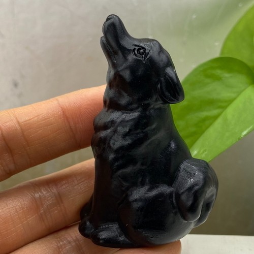 2"+  Natural Obsidian wolf Hand Carved Quartz Crystal Reiki healing 1PC - Picture 10 of 12