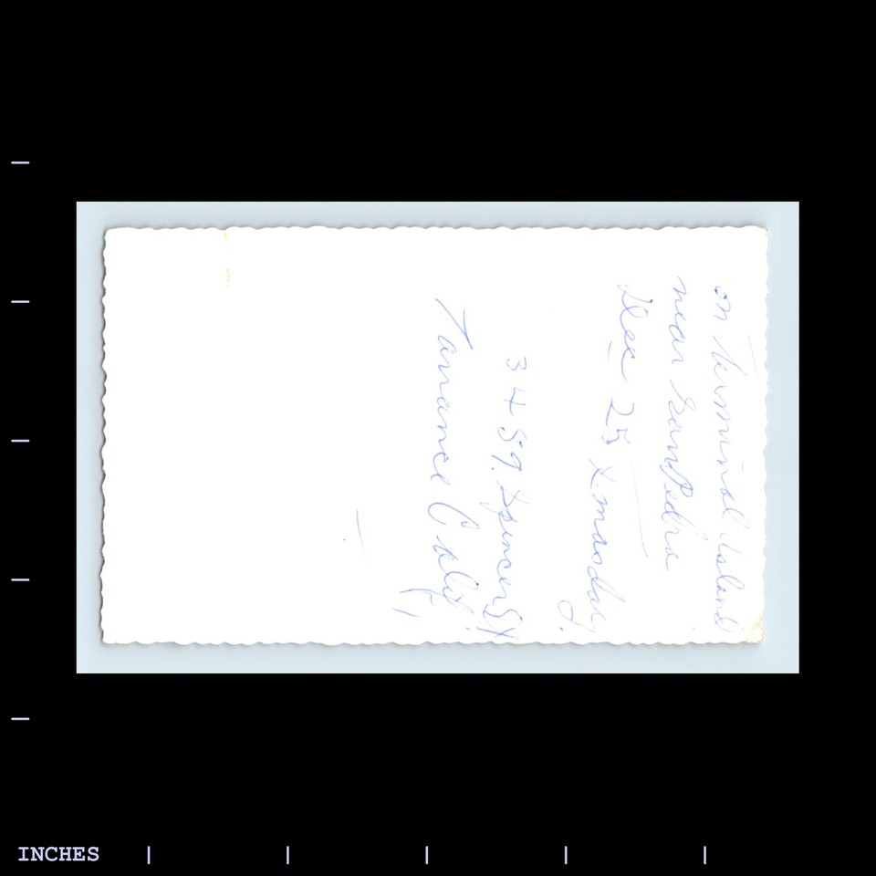 Old Vintage Photo BOATS IN MARINA TERMINAL ISLAND SAN PEDRO CALIFORNIA