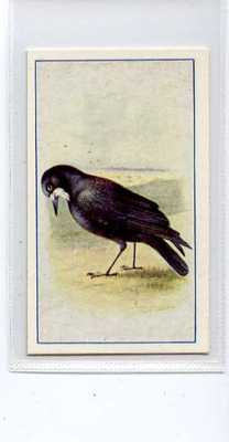(Ja6705-100) Carroll,Vögel,Turm,1939#9