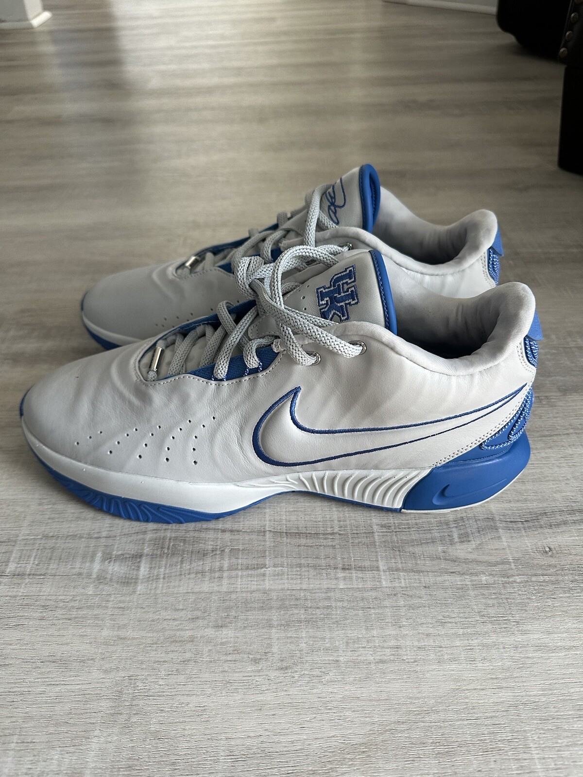Nike Lebron 21 University Of Kentucky Team Issued Shoe image 2
