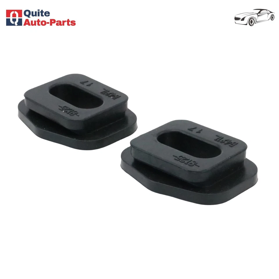 1 par se adapta a Ford Taurus X Flex Explorer Edge buje superior aislador radiador EE. UU. Foto 3 de 4