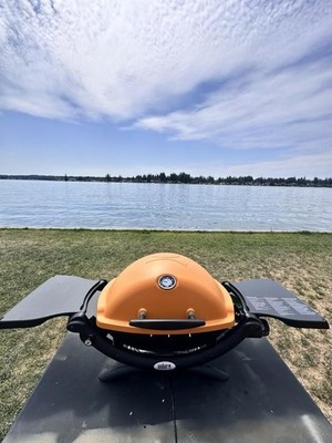 Weber Q 1200 Portable Gas Grill 8500 BTU Liquid Propane 51060001 Brand New