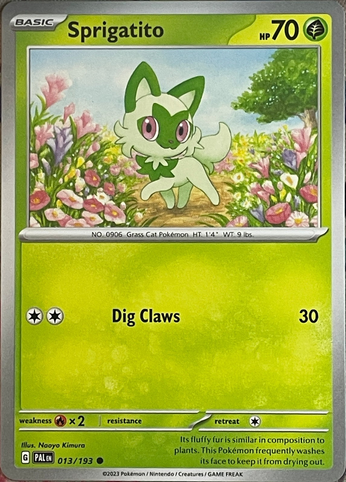 Sprigatito - 013/193 - Paldea Evolved Pokemon 2023