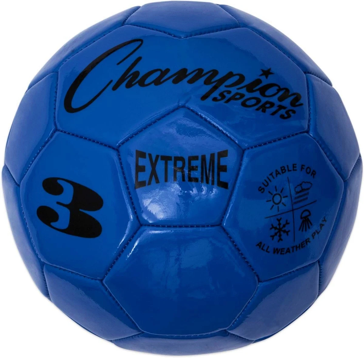 Champion sports soccer ball hotsell