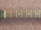 Picture 5 of 14