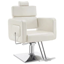 BarberPub Barber Chair, Reclining Hydraulic Salon Chair for Barbershop 2065