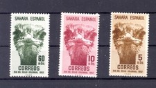SAHARA SPAIN 1952 - Animals (Fauna) | Birds | Ostriches Stamp Day - MNH