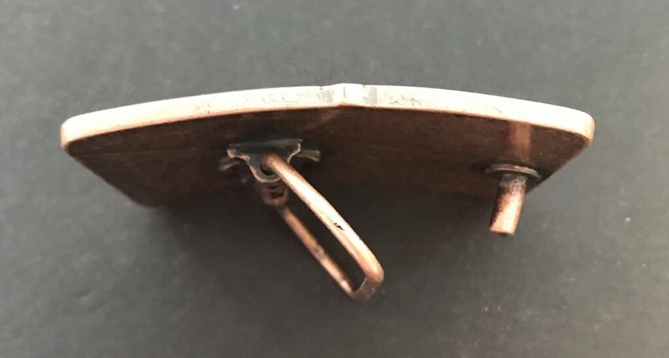 Tabla de Skateboarding Surfers Extreme Hebilla de Cinturón Deportes Boucle Ceinture Foto 2 de 2