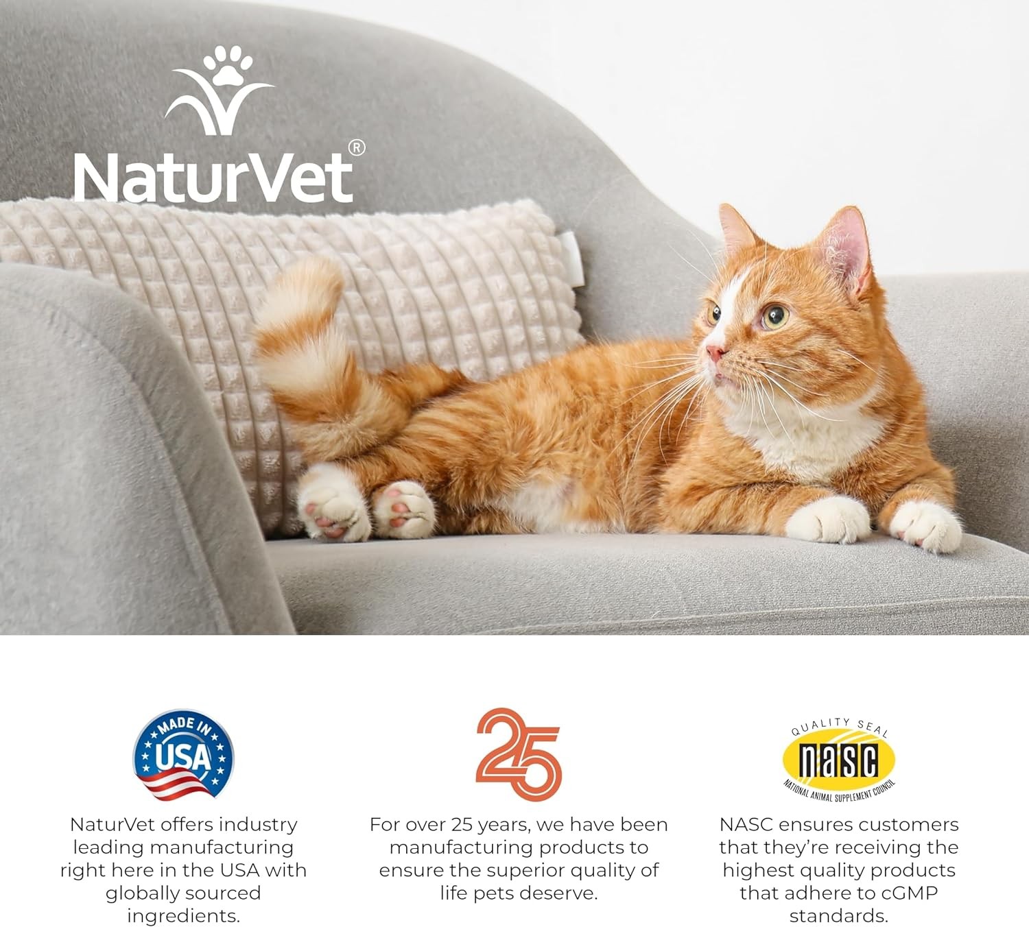 NaturVet Digestive Enzymes Plus Probiotics Soft Chew Cat 60 count