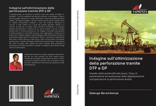 Solange Barambonye | Indagine sullottimizzazi...