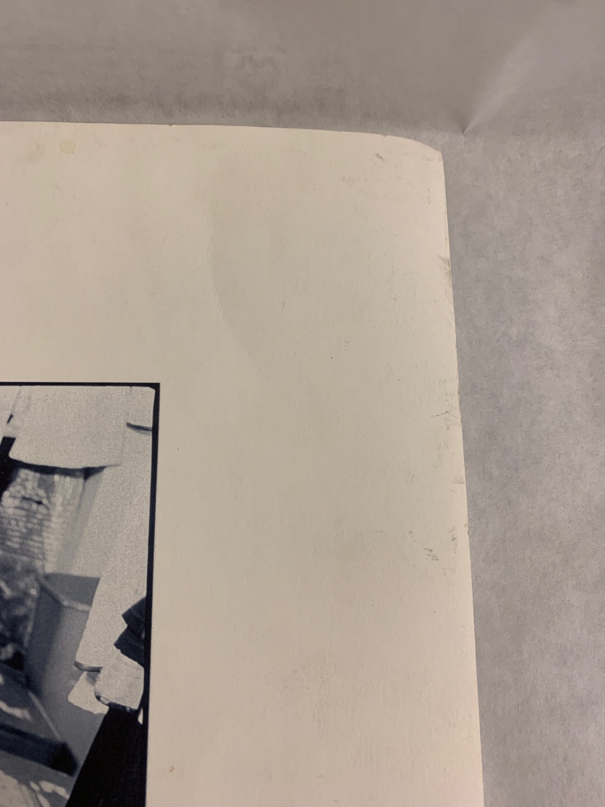 Picture 9 of 10