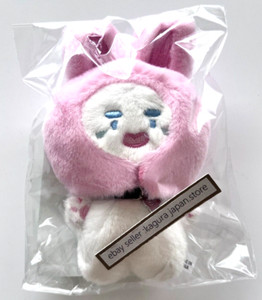 Shinee Doll | eBay