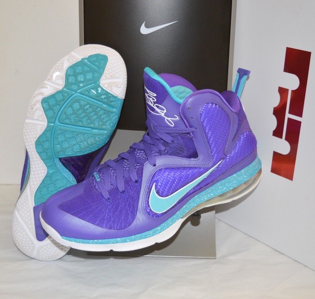 nike lebron hornets