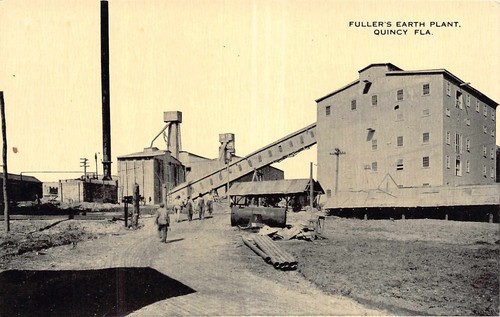 FL - 1910er Jahre RAR! Florida Fuller’s Earth Pflanze in Quincy FLA - Gadsden County