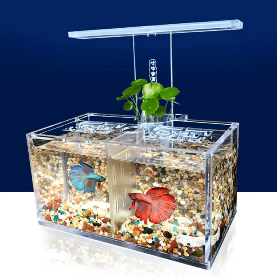 Aquarium LED Acrylic Betta Fish Tank Set Mini Desktop Light Water Pump Filter AU - image 3 of 4