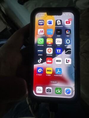 iphone 13 unlocked used with preloaded TikTok app