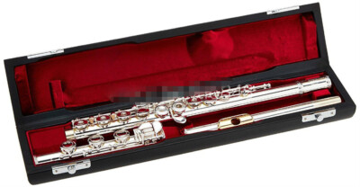 E key gold lip flute   style 17 key hole silver plated C flute/ case