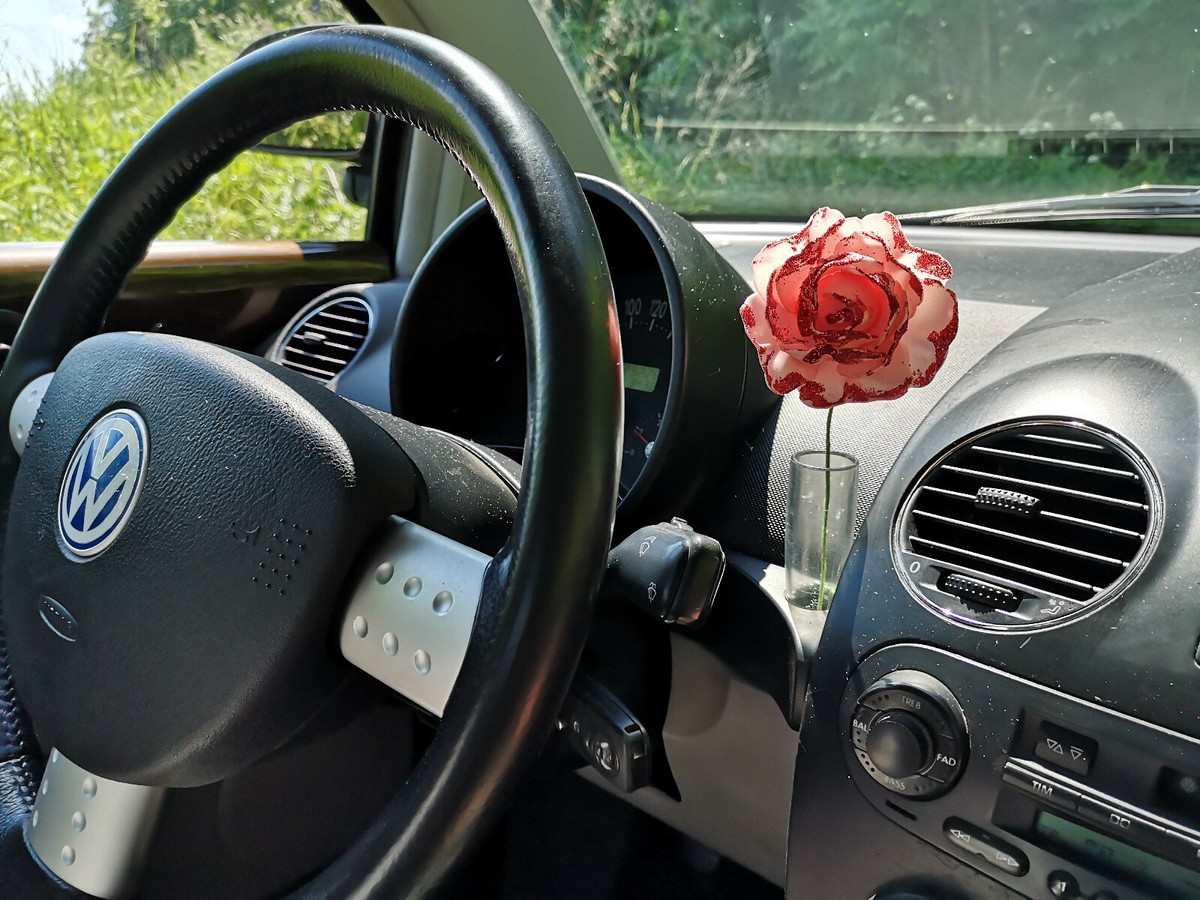 VOLKSWAGEN Bug New Beetle Interior Console Dashboard Flower