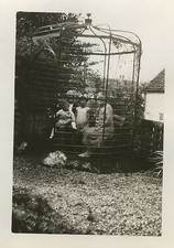 PHOTO ANCIENNE - VINTAGE SNAPSHOT - CURIOSITÉ KIOSQUE JARDIN CAGE DRÔLE - FUNNY
