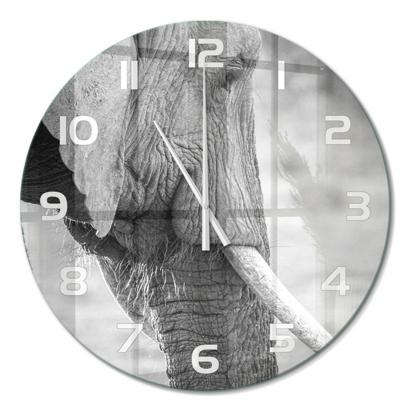 Runde Wanduhr Aus GehäRtetem Glas Glas-Wanduhr Elefant WeißE Zeiger Fi60 Cm-image
