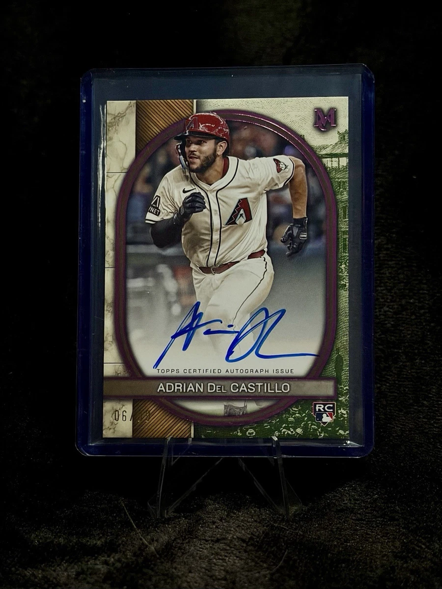 2025 Topps Museum Collection - Adrian Del Castillo #AA-AD for sale