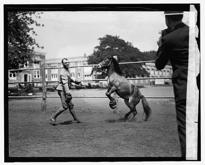 Photo:Albert Walker Pony of Col Fred W Van Dyne 1924 Horse Training