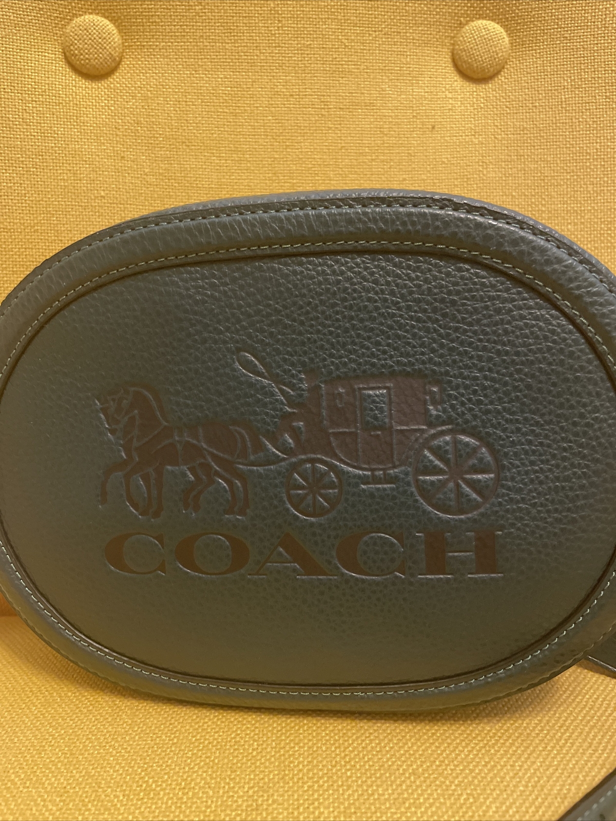 NWT. Coach Camera Bag With Horse And Carriage Crossbody Forest Green eBay