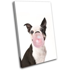 Modern Dog Frenchie Bubblegum Animals SINGLE CANVAS WALL ART Picture Print