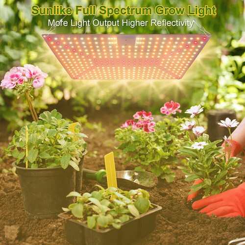 LED Plant Grow Light Full Spectrum for Indoor Plant Seedling Growing ...